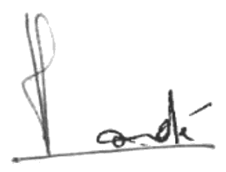 Professeur Olivier Jardé